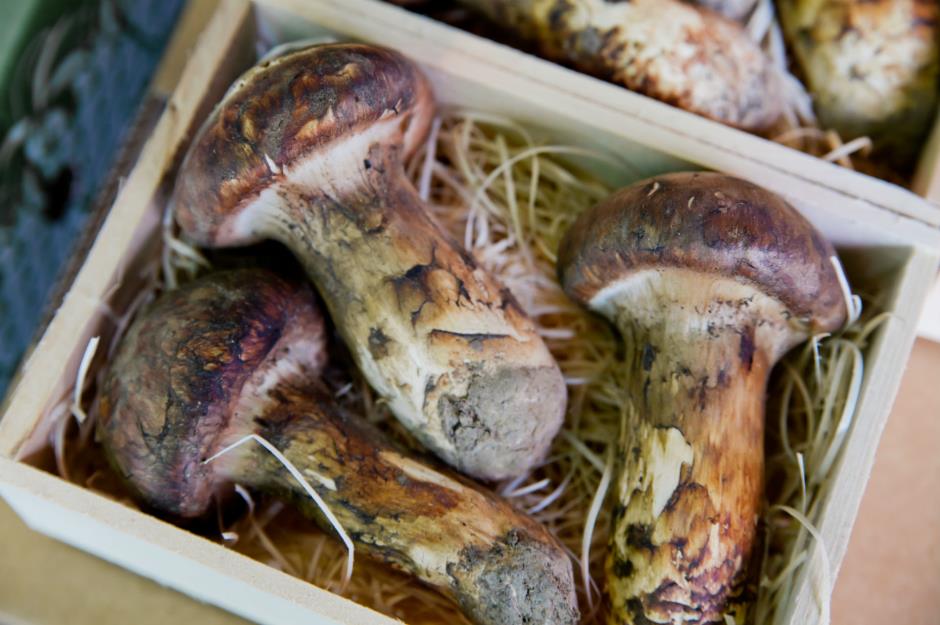 22 of the world's most expensive ingredients